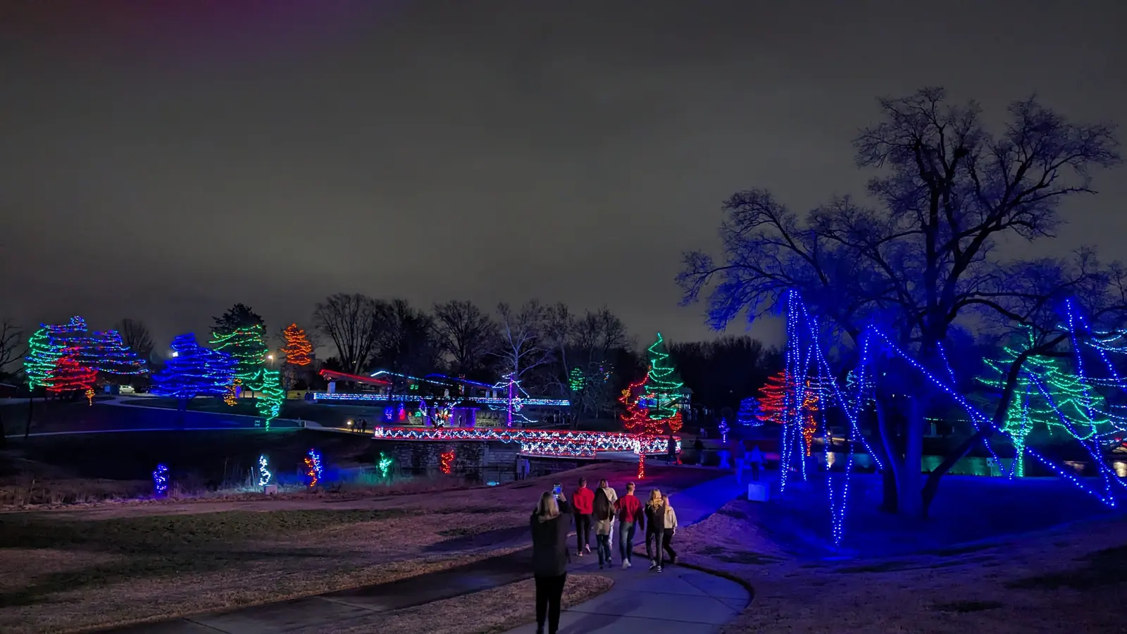 Trees wrapped in colorful lights along a park path at night
