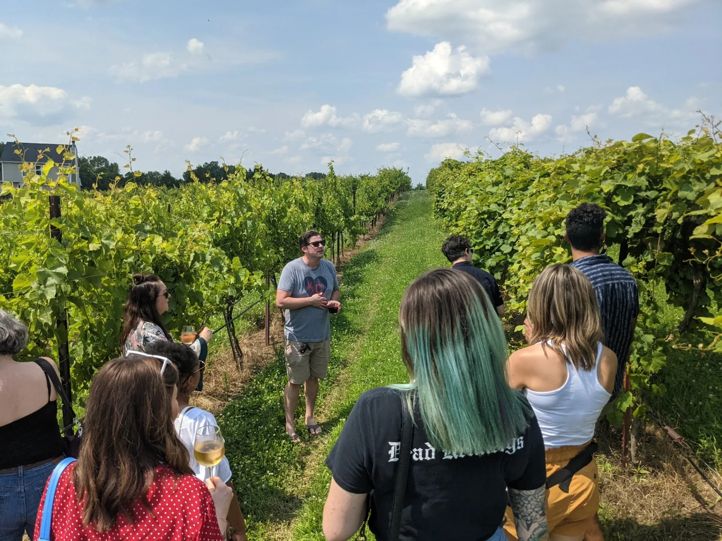 Guide leading vineyard walking tour